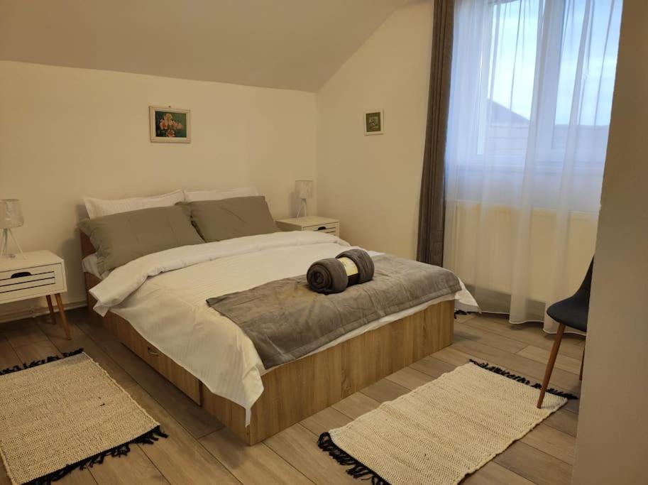 Casa Piatra Craivii, Aproape De Holiday home